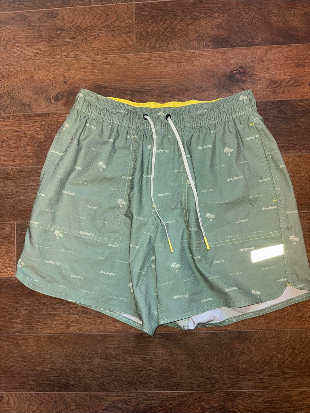 Legends Men's Sage Green Swim Shorts with Drawstring